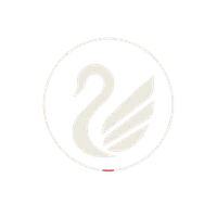 Dani Collada Logo